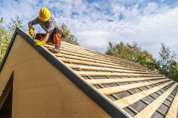 Best Roof Gutter Cleaning  in Bellville, OH